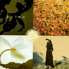 mezzogiorno-sulle-alpi